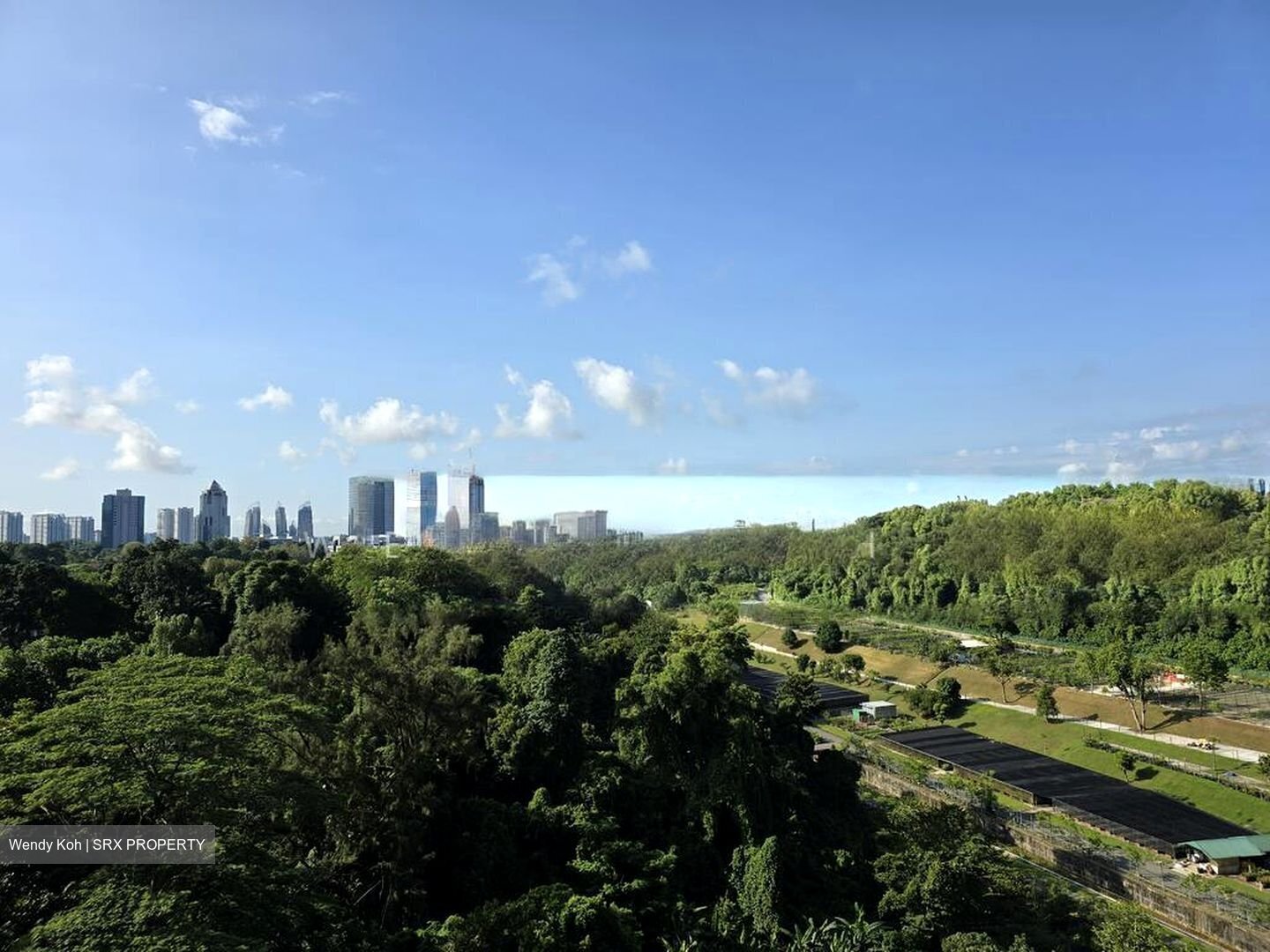 Normanton Park (D5), Apartment #501781541